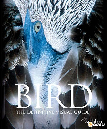 Bird: The Definitive Visual Guide