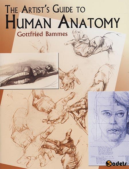 The Artist's Guide to Human Anatomy