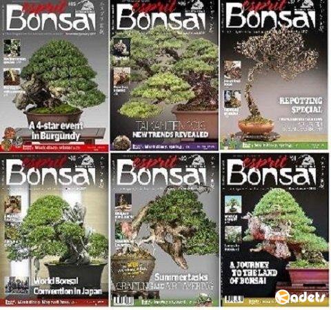 Подшивка журнала - Esprit Bonsai International (January-December 2017) PDF. Архив 2017