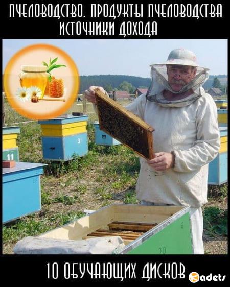 Пчеловодство. Продукты пчеловодства. Источники дохода (2014) HDRip
