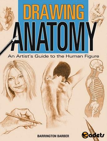 Barrington Barber - Drawing Anatomy: The Artist’s Guide to the Human Figure