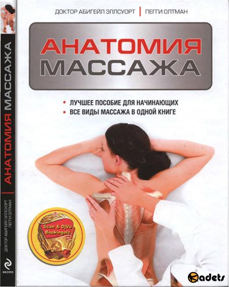 Анатомия массажа