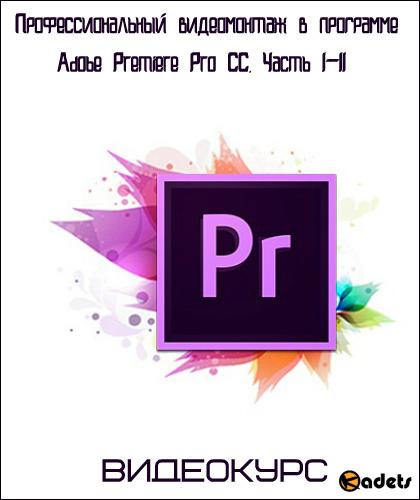 Профессиональный видеомонтаж в программе Adobe Premiere Pro CC. Часть I-II. Видеокурс (2017)