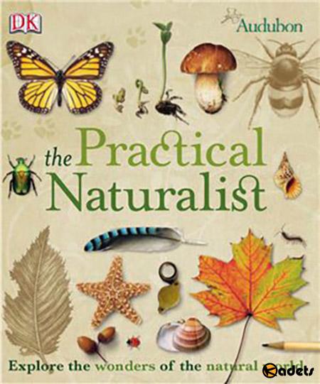 The Practical Naturalist: Explore the Wonders of the Natural World