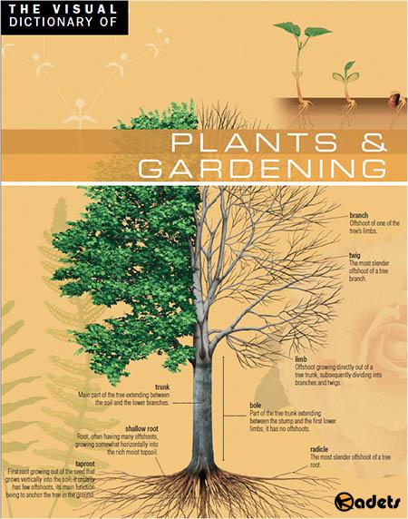 The Visual Dictionary of Plants & Gardening