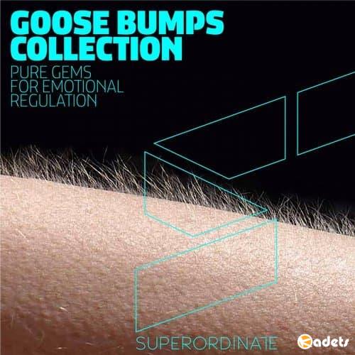 Goose Bumps Collection (2018)