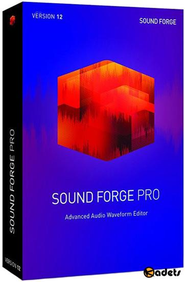 MAGIX Sound Forge Pro 12.0 Build 29 + Rus