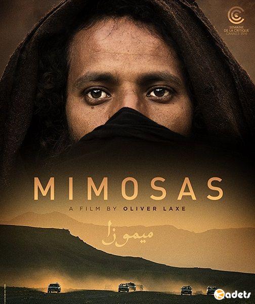 Мимозы / Mimosas (2016) 
