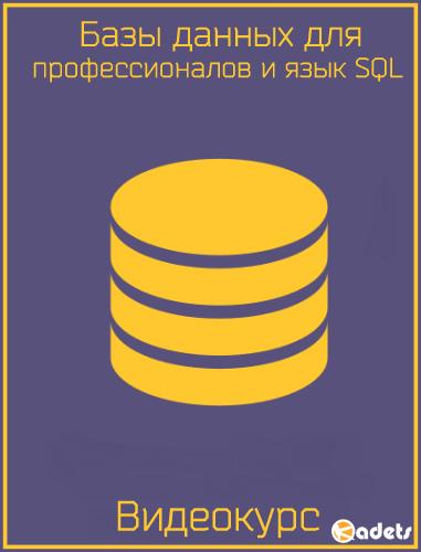 Базы данных для профессионалов и язык SQL. Видеокурс (2017)