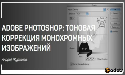 Adobe Photoshop: тоновая коррекция монохромных изображений. Мастер-класс (2018) 