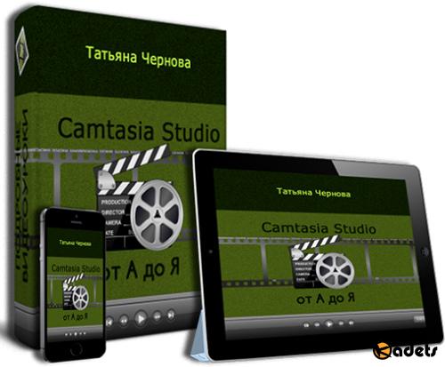 Camtasia Studio от А до Я. Видекурс (2016)