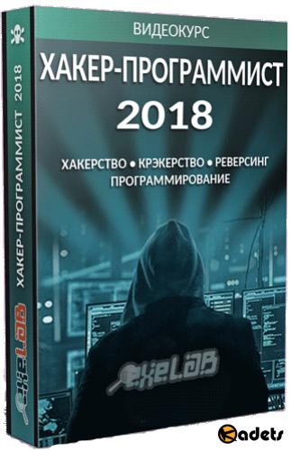 Хакер-программист (2018) Видеокурс