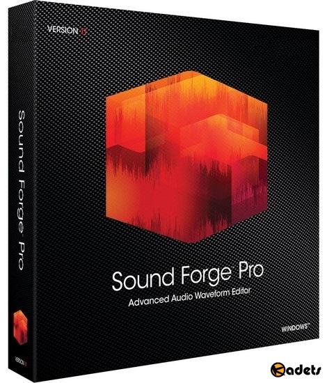 MAGIX SOUND FORGE Pro 13.0.0.124