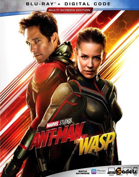 Человек-муравей и Оса / Ant-Man and the Wasp (2018)