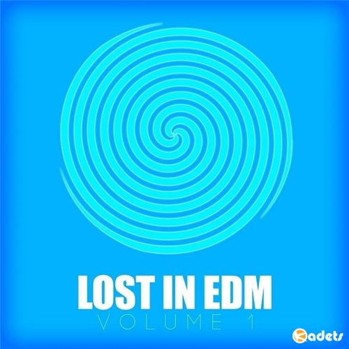 VA - Lost In EDM (2018)