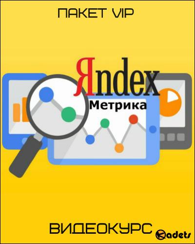 Яндекс Метрика. Пакет VIP. Видеокурс (2018)