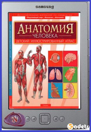 Александр Мирер - Анатомия человека. Детский иллюстрированный атлас (2008)