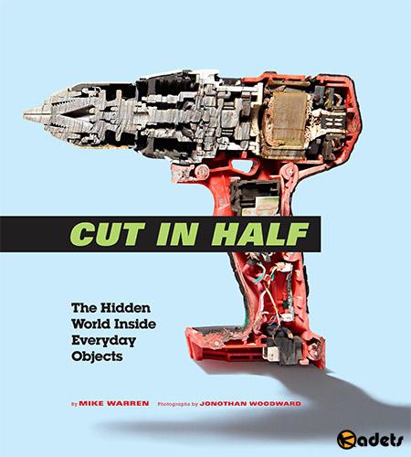 Cut in Half: The Hidden World Inside Everyday Objects