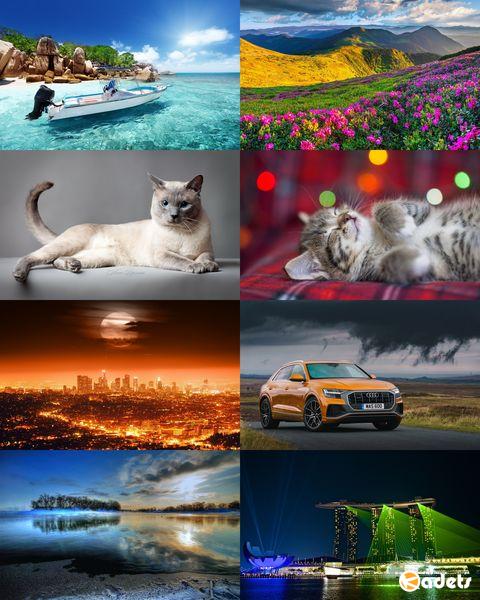 Wallpapers Mix №713