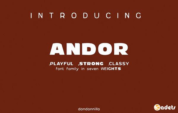 Шрифт Andor